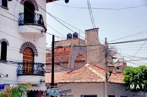 mexico humen cobwebG