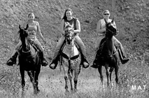 three horsegirls10by15